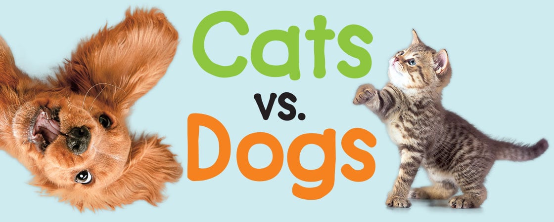 a cat and a dog. Text reads: Cats vs. Dogs