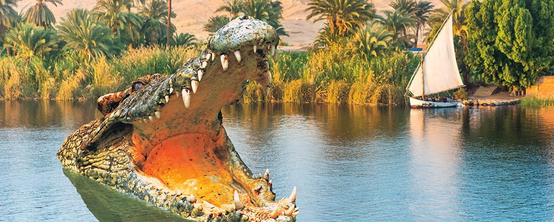 Crocodile with open mouth and a background of a river and old small ship